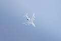 Boeing E-3A Sentry (707-300)